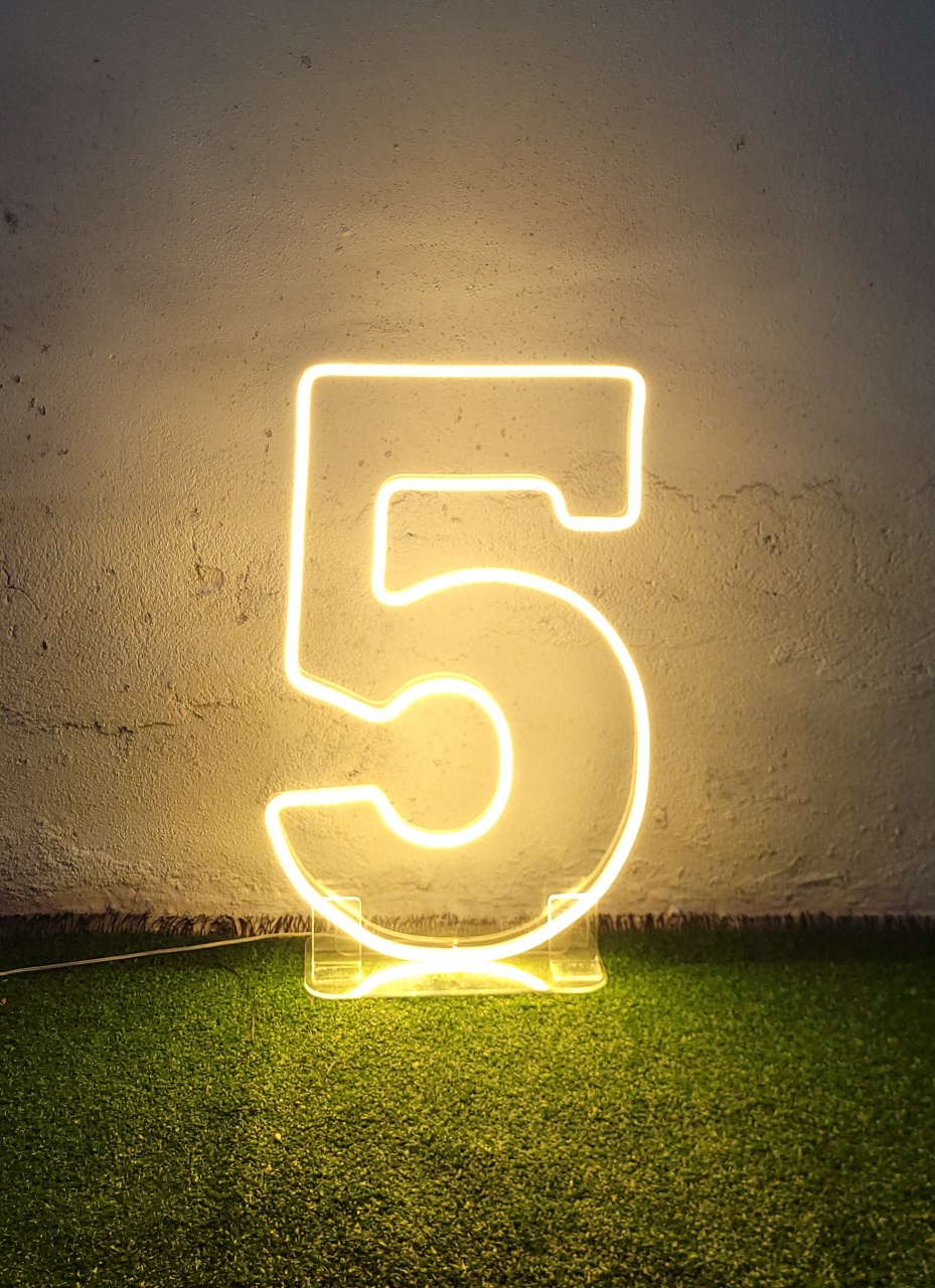 Número 5 Led  - AcervodosSonhos 