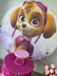 Skye  - imagem 3