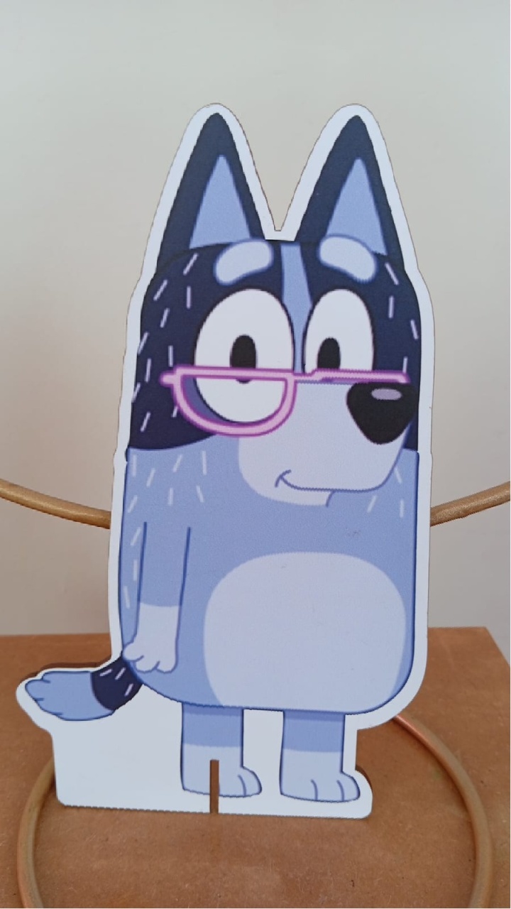 Display P - Bluey - MAP