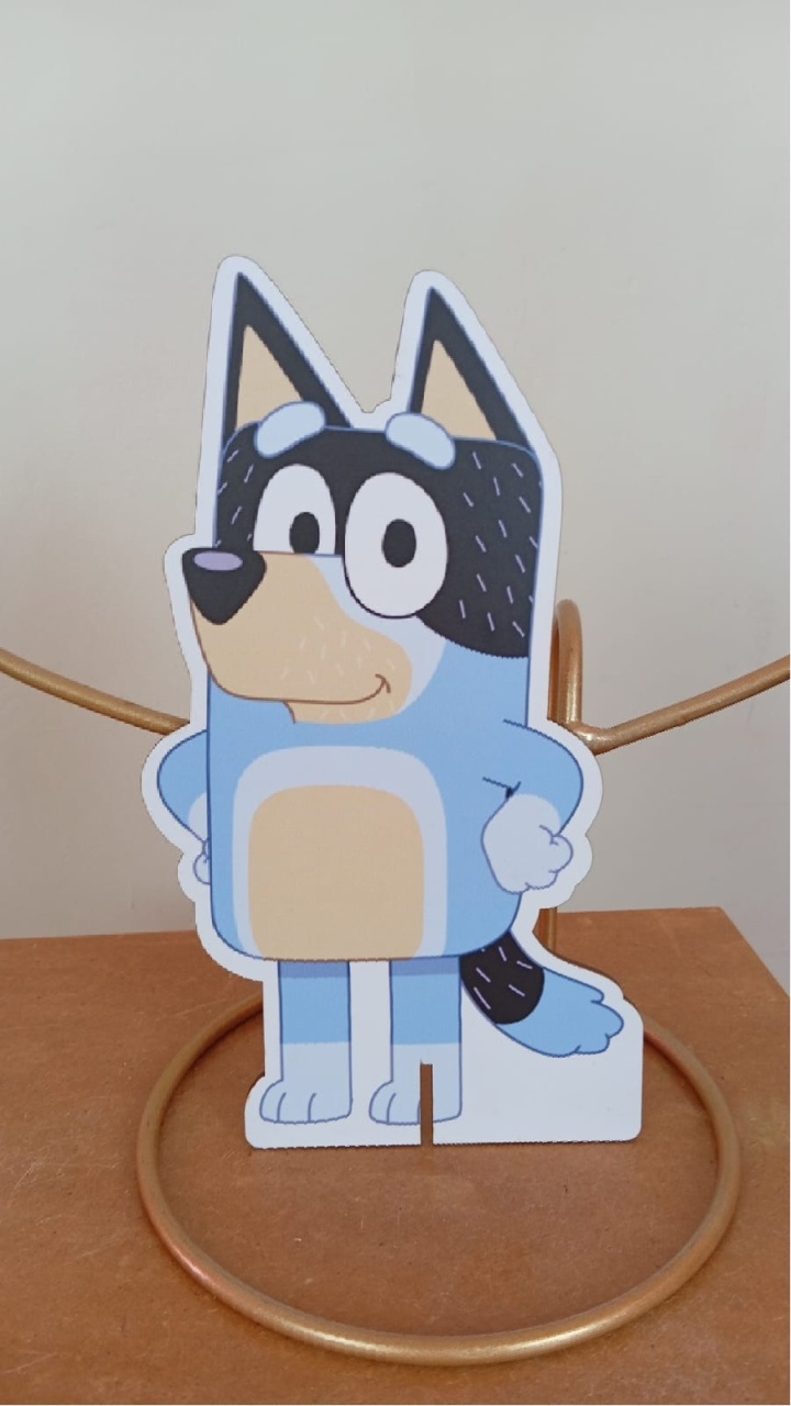 Display P - Bluey - MAP