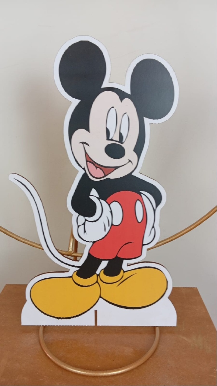 Display P - Mickey - MAP