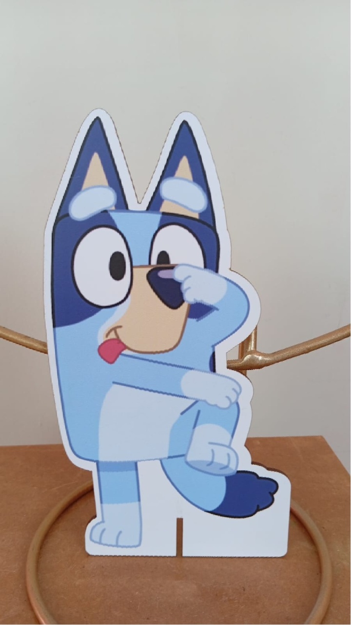 Display P - Bluey - MAP