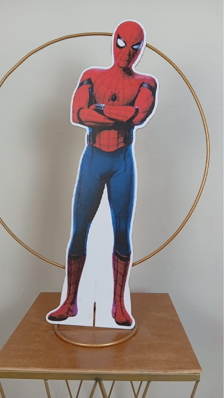 Homem Aranha - Display G - MAP