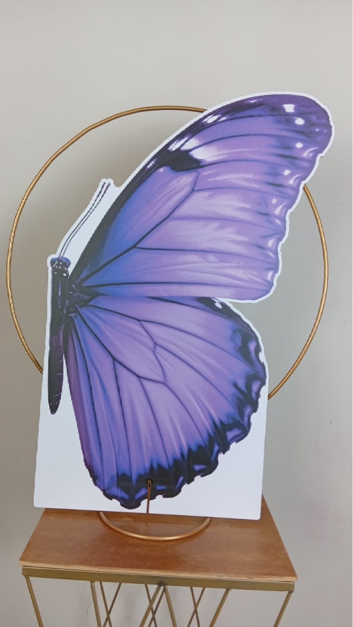 Borboleta Roxa - Display G - MAP