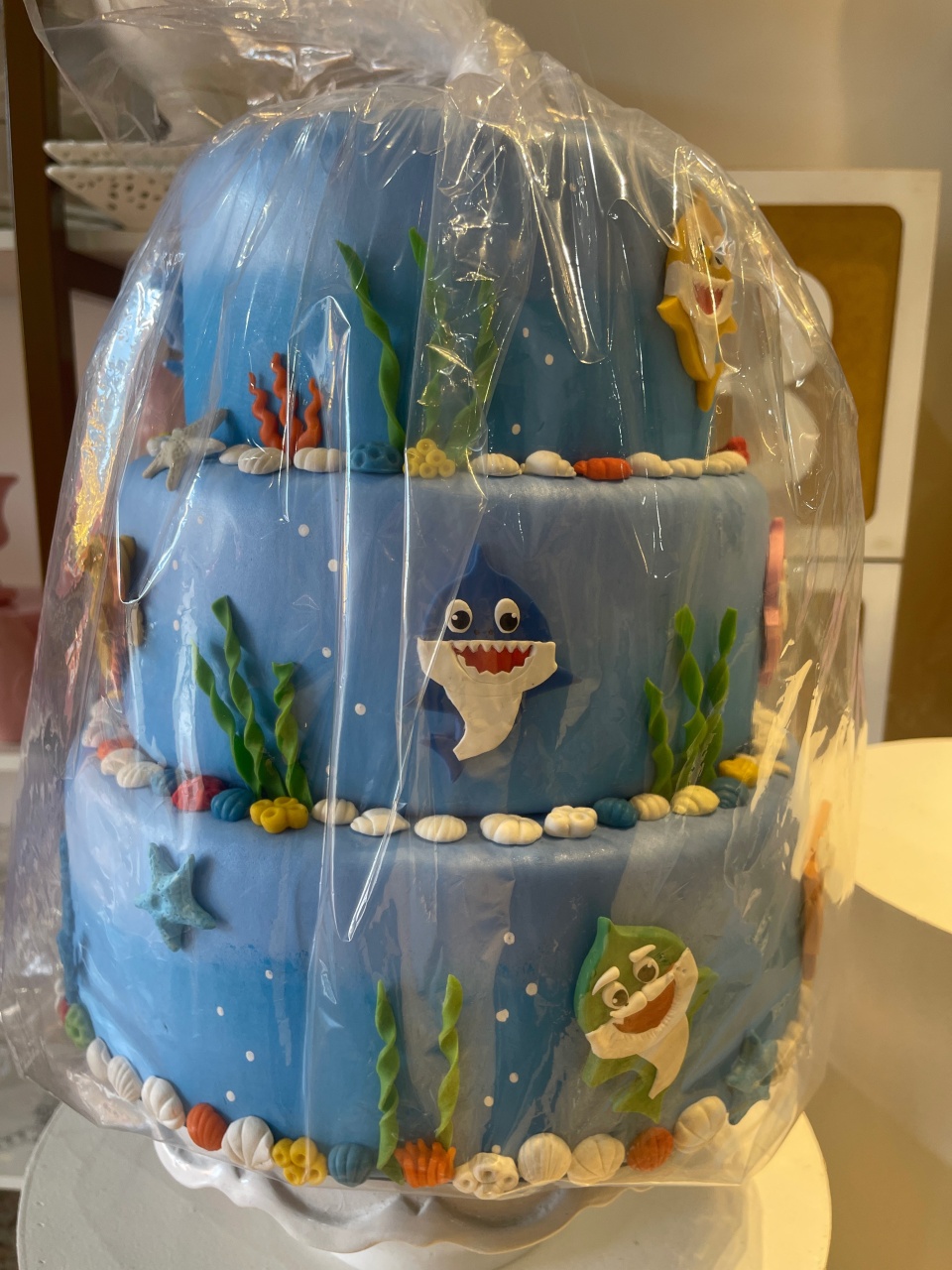 Bolo Fake Baby Shark - Grace Festas Store 