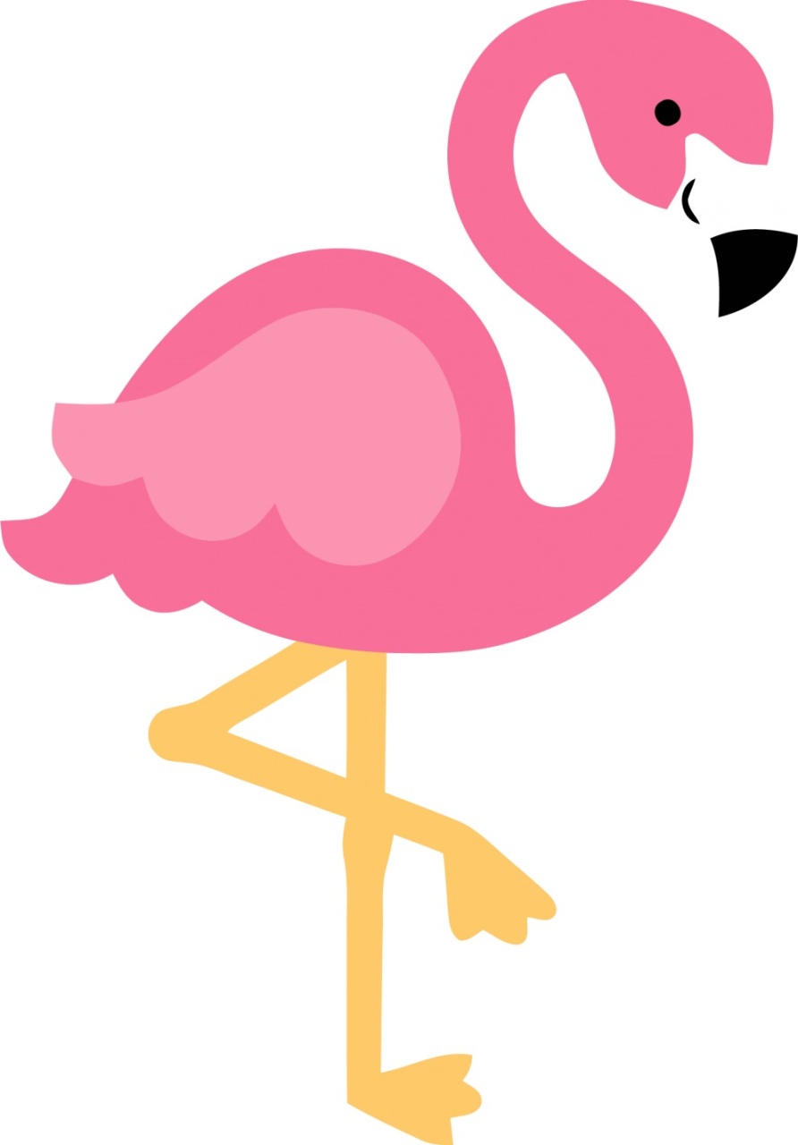 Kit Painel E Capas Flamingo - Grace Festas Store 