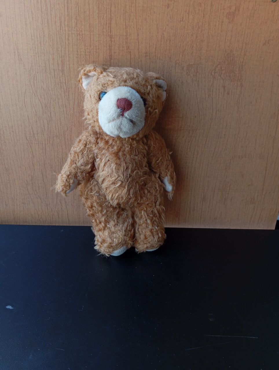 Urso de Pelúcia - Pequeno  - Festou