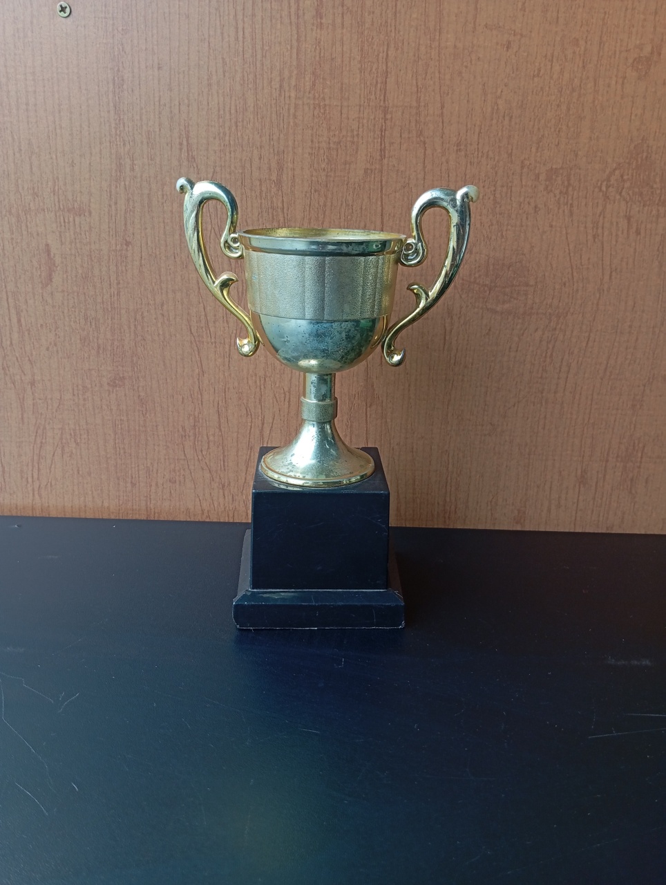 Troféu Futebol  - Festou