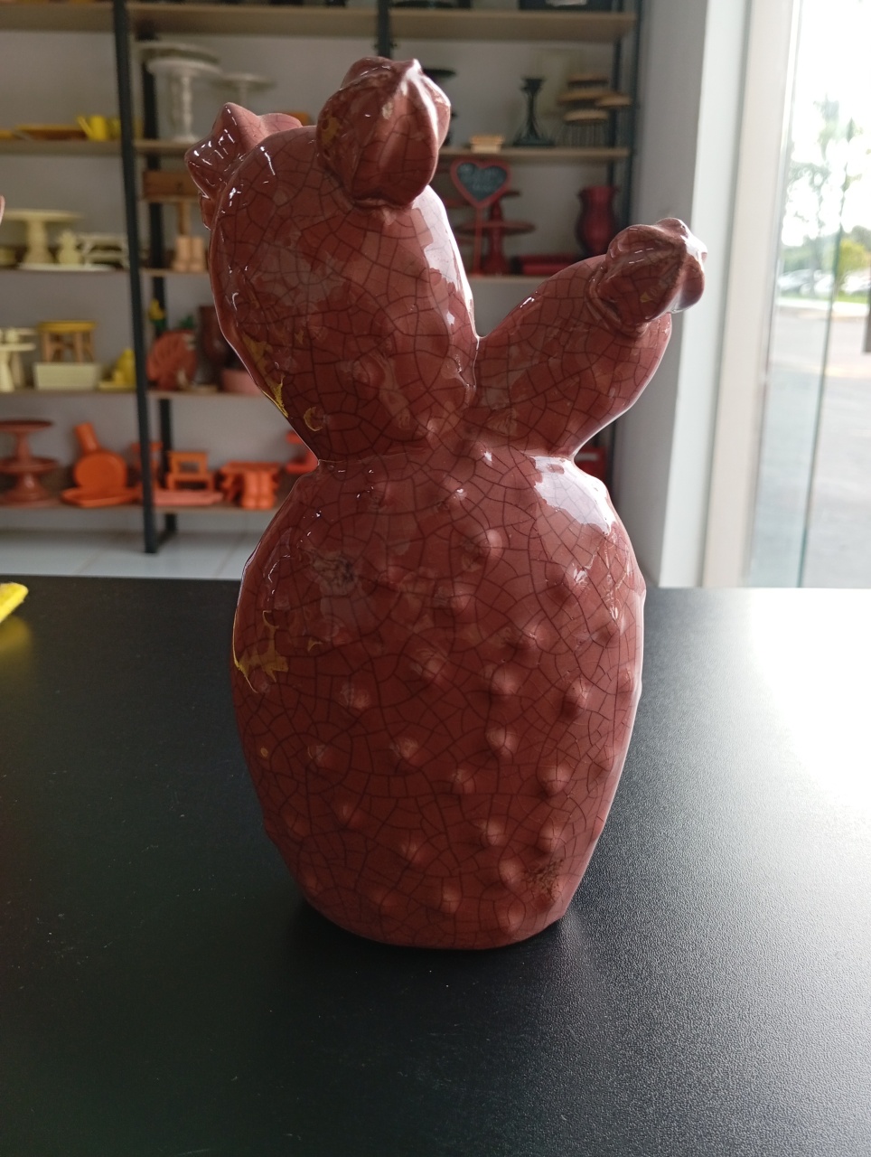 Cacto Cerâmica - Terracota  - Festou