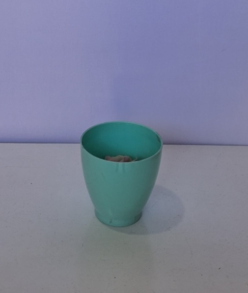Vaso Plástico Pequeno Verde Claro - Lena Fest