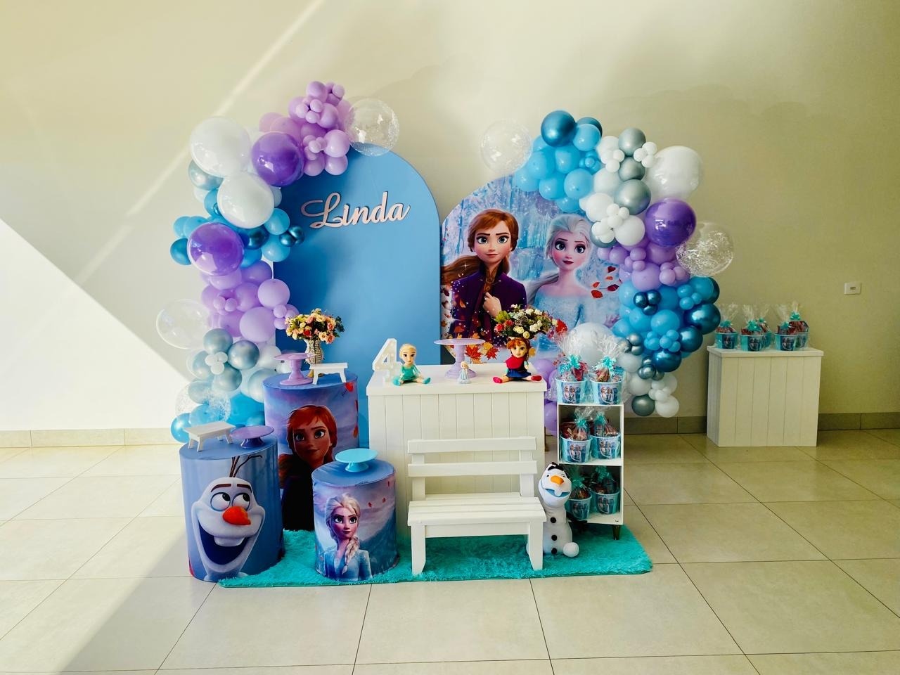 Composição  Frozen - R&A Pegue e Monte