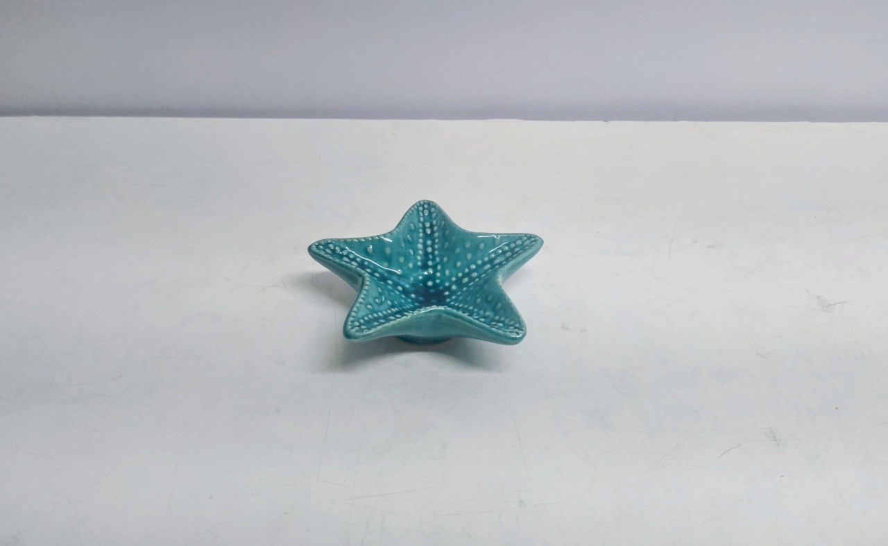 Bandeja Estrela Do Mar/P Verde Tiffany 4Cm Alt X 13Cm Diametro  - BB Festas Aluguel 
