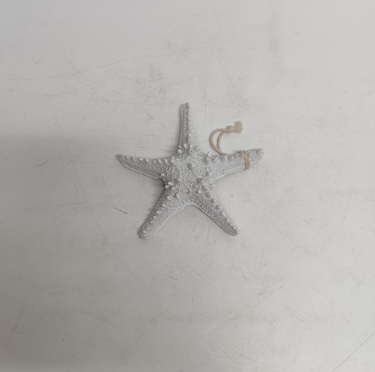 Estrela Do Mar Branca 17Cm X 17Cm - BBFestasAluguel 