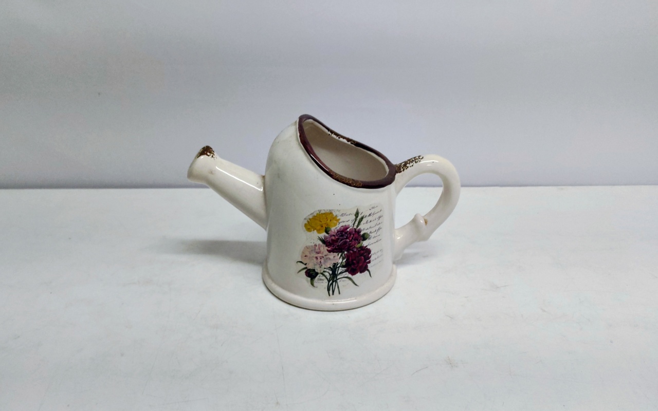 Vaso Regador Decorativo 15Cm Alt X 13Cm Larg X 25Cm Comp  - BB Festas Aluguel 