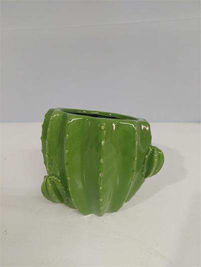 Cachepo Cacto Verde 13Cm X 12Cm - BB Festas Aluguel 