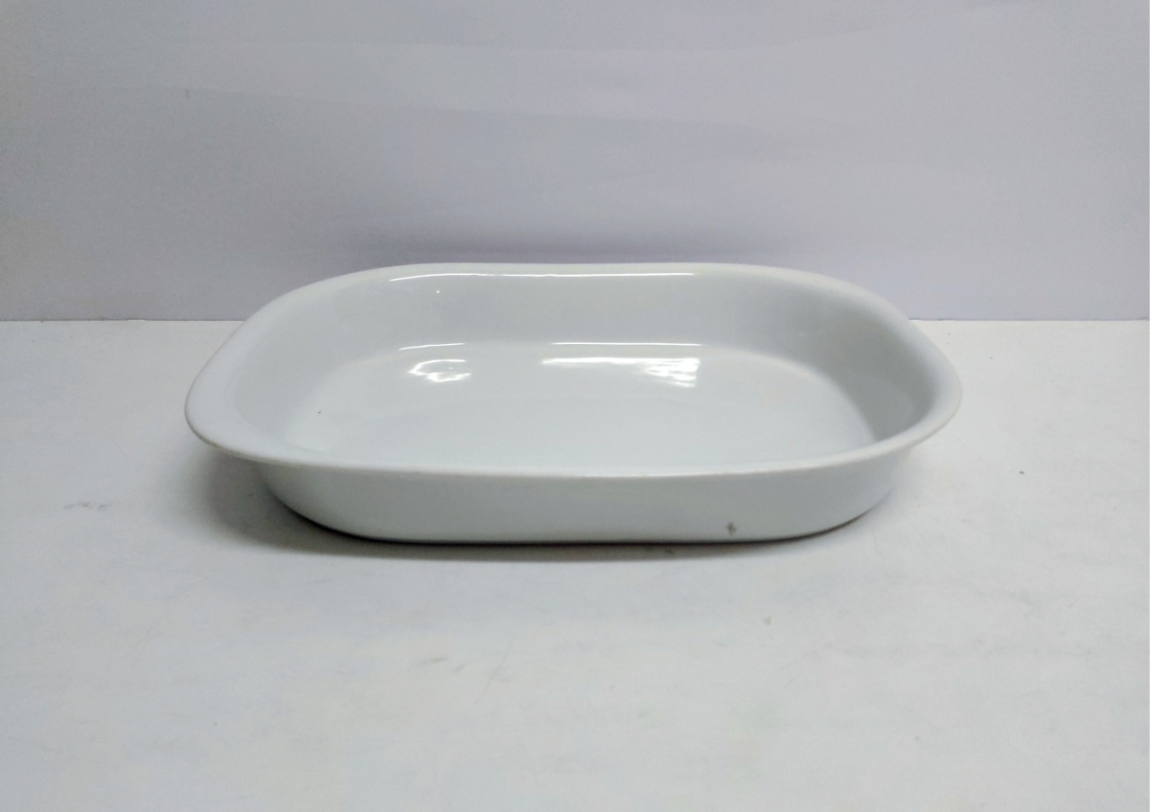 Refratário G Retangular Fundo 7Cm Alt X 33Cm Larg X 43Cm Comp - BB Festas Aluguel 