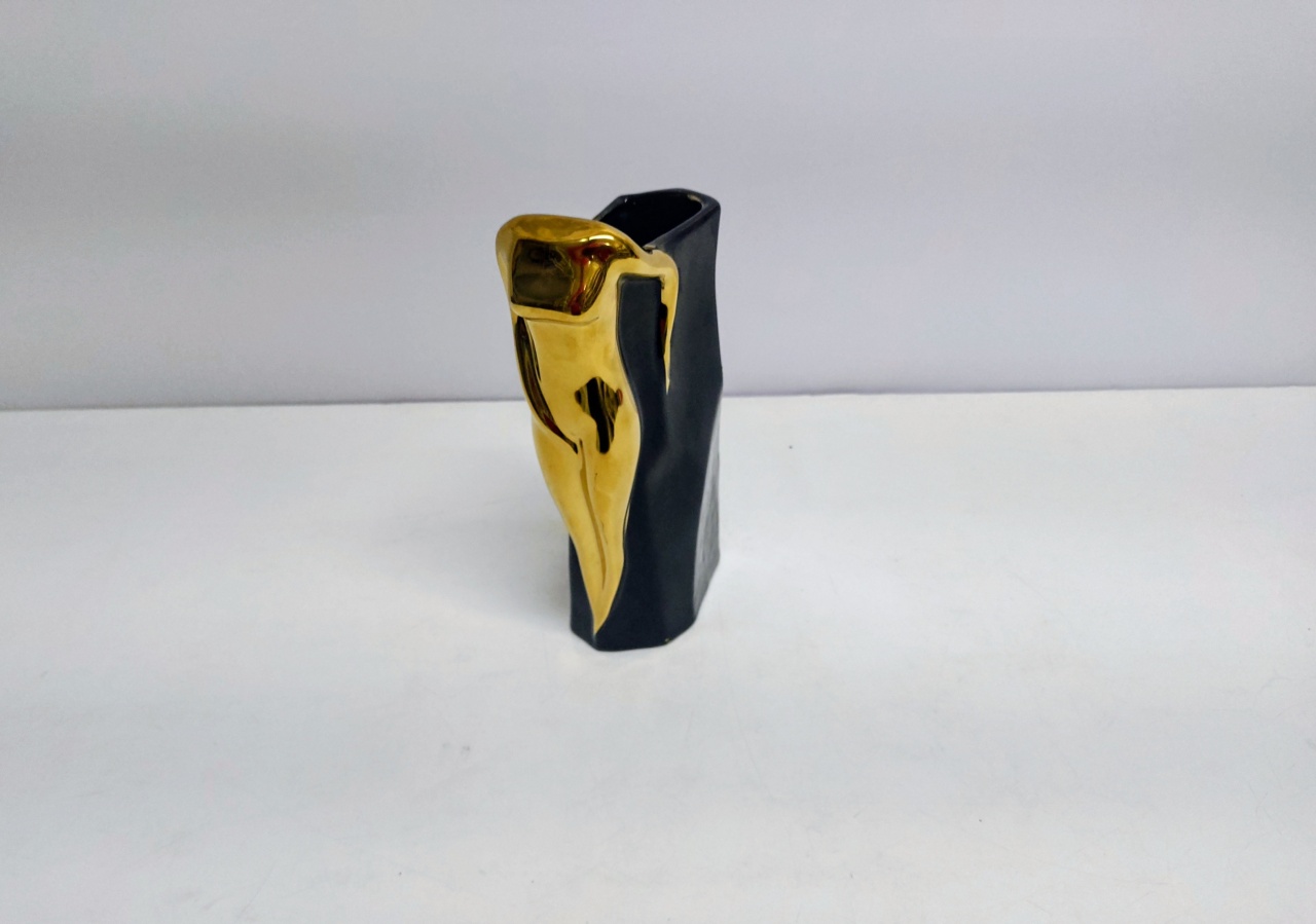 Vaso Orgãnico Luxo Preto 23Cm Alt X 7Cm Larg X 13Cm Comp - BB Festas Aluguel 