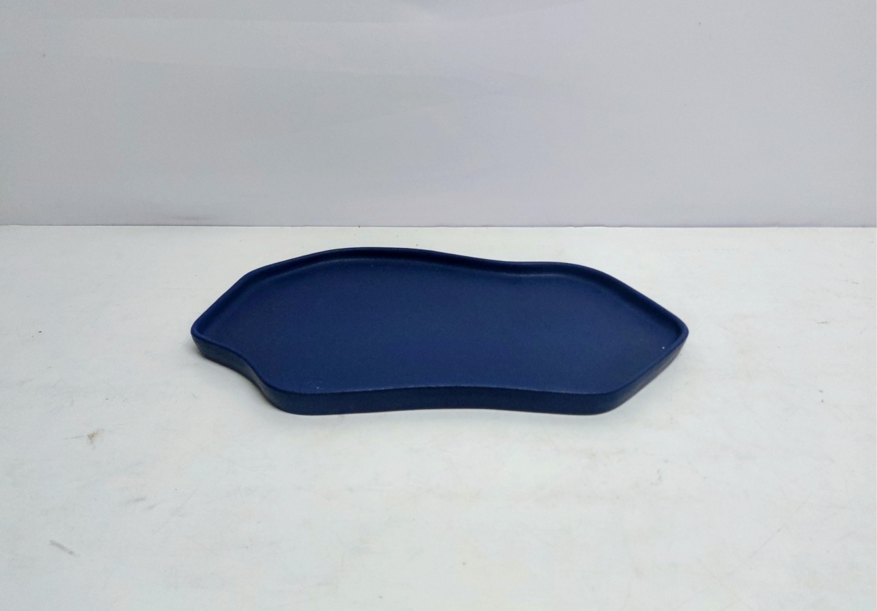 Bandeja Celebration Orgânica/G Azul Marinho Fosco 2Cm Alt X 24Cm Larg X 39Cm Comp  - BB Festas Aluguel 