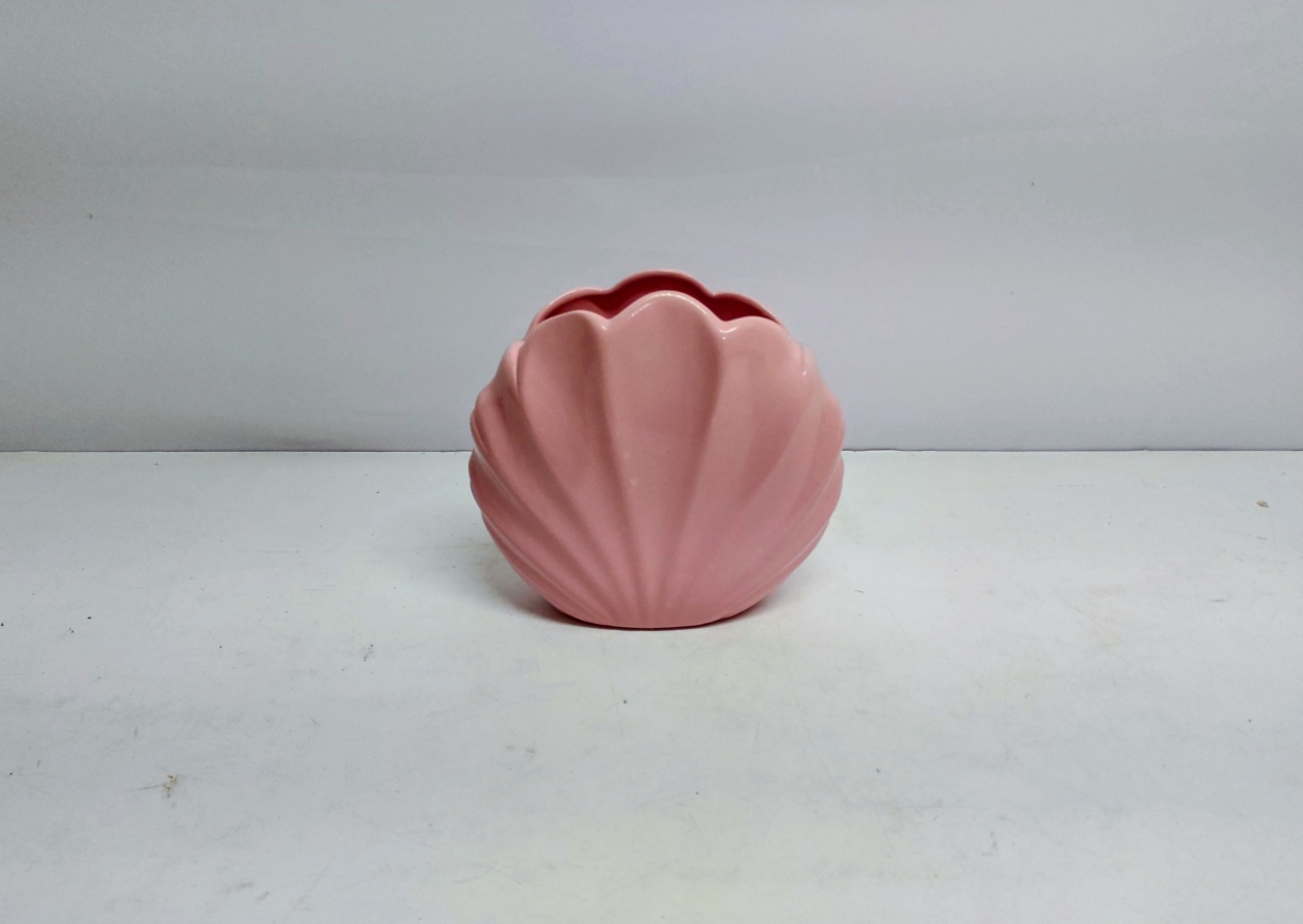 Vaso Concha Rosa 20Cm Alt X 20Cm Larg X 6Cm Comp - BB Festas Aluguel 