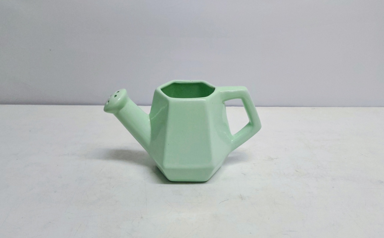 Vaso Regador Verde Claro 13Cm Alt X 12Cm Larg X 22Cm Comp - BB Festas Aluguel 