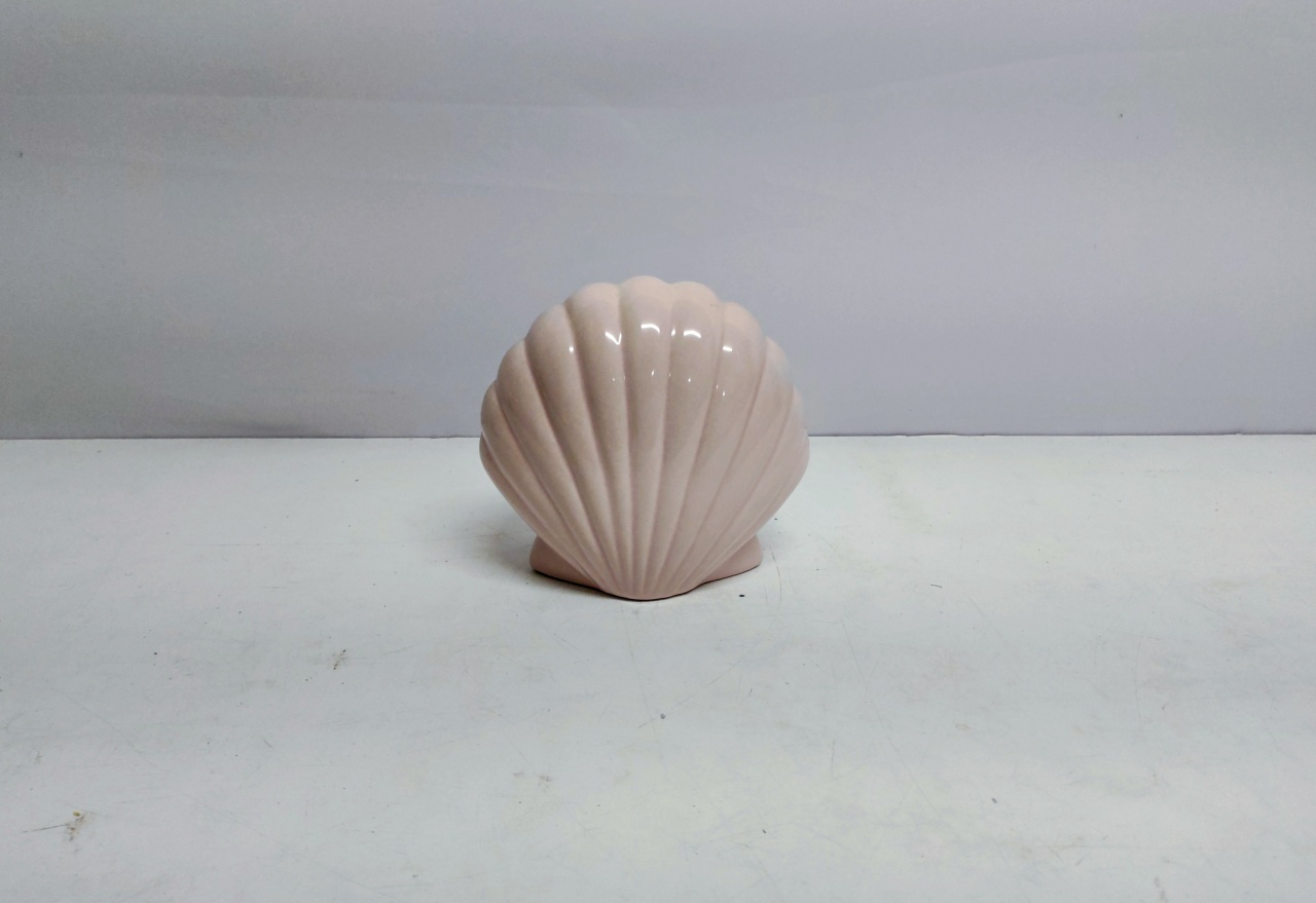  Concha Decorativa Rosa Claro 14Cm Alt X 16Cm Larg X 9Cm Comp  - BB Festas Aluguel 