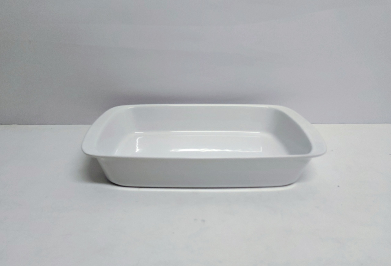 Refratário M Retangular Fundo 6Cm Alt X 24Cm Larg X 40Cm Comp - BB Festas Aluguel 