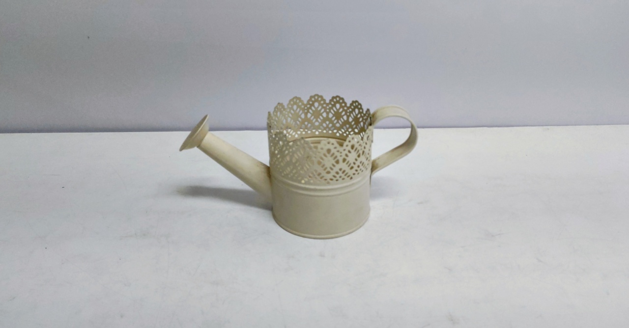 Cachepo Regador 10Cm Alt X 10Cm Larg X 22Cm Comp  - BB Festas Aluguel 