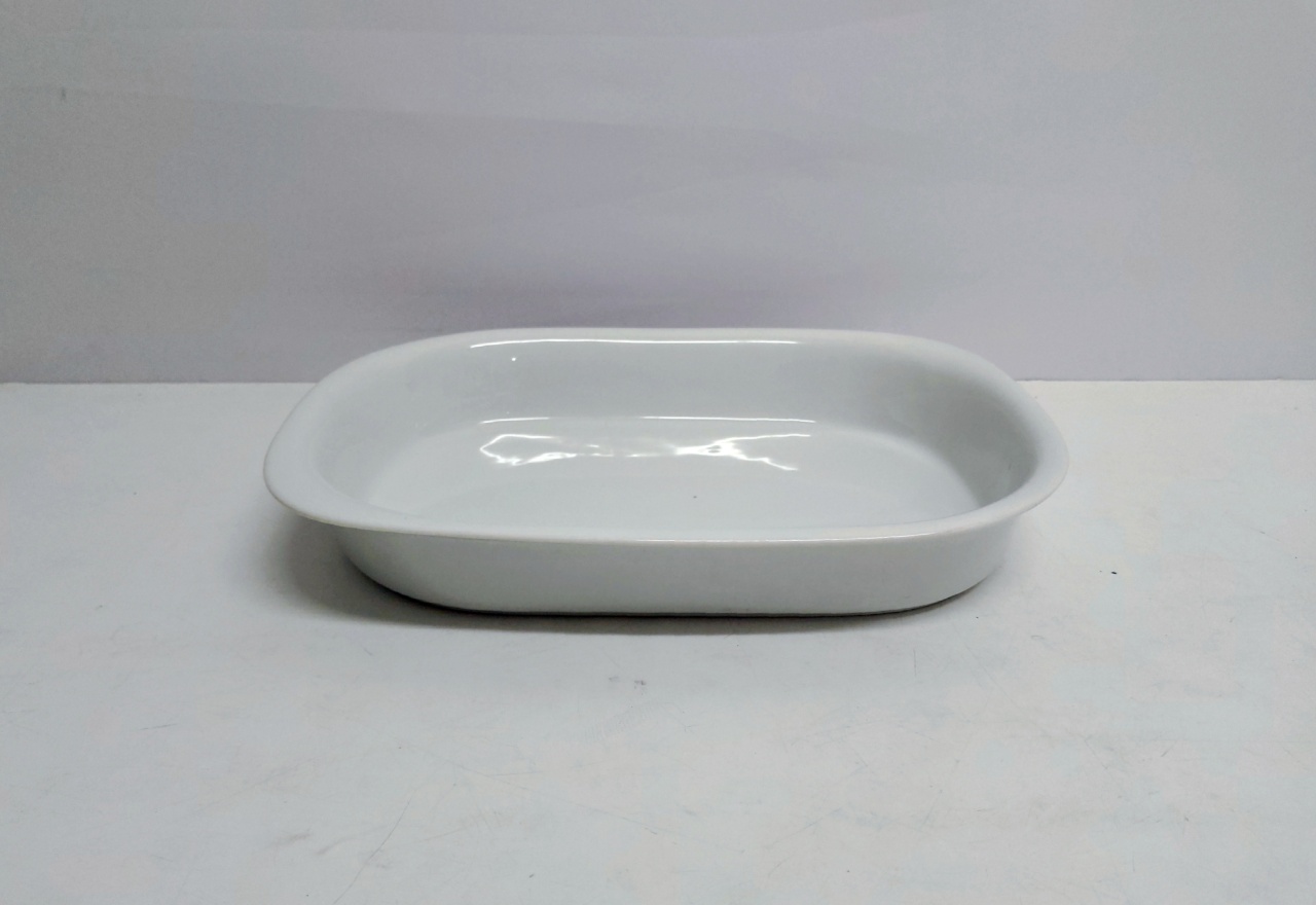 Refratário P Retangular Fundo 6Cm X 27Cm Larg X 36Cm Comp - BB Festas Aluguel 