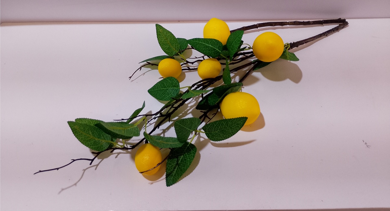 Limões Com Folhagem (Fruta) - BBFestasAluguel 