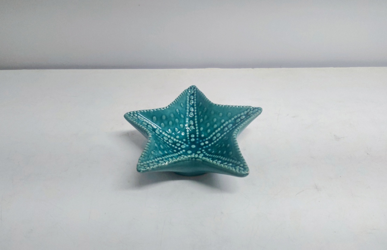 Bandeja Estrela Do Mar/G Verde Tiffany 6Cm Alt X 20Cm Diametro  - BB Festas Aluguel 