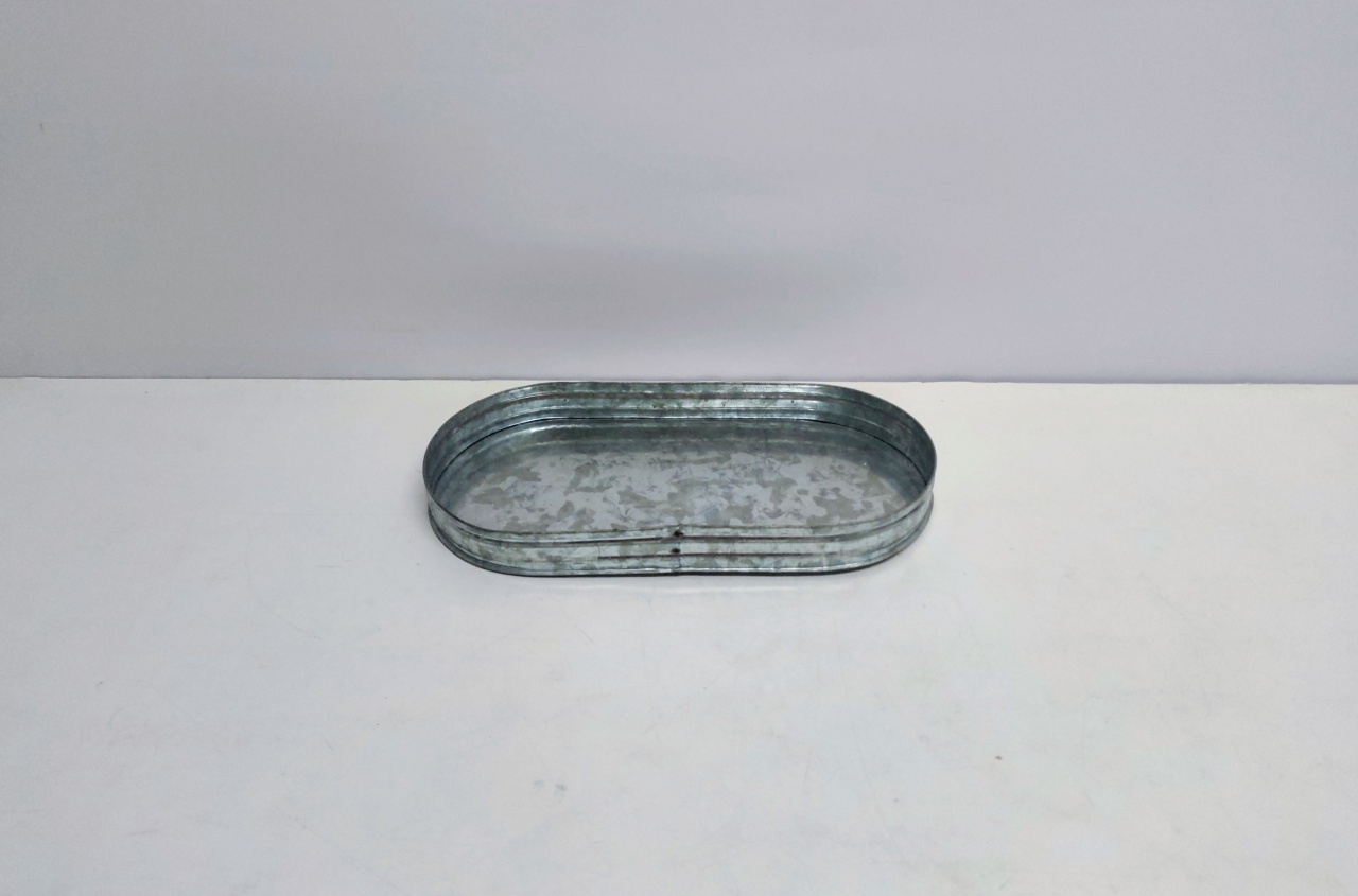 Bandeja Oval Metal 3Cm Alt X 15Cm Larg X 31Cm Comp  - BB Festas Aluguel 