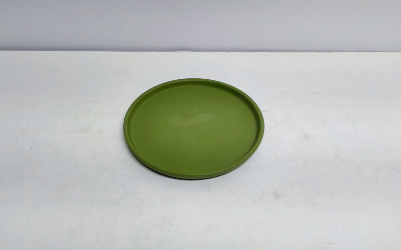 Bandeja Redonda Reta Verde Fosco 2Cm Alt X 21Cm Diametro  - BB Festas Aluguel 