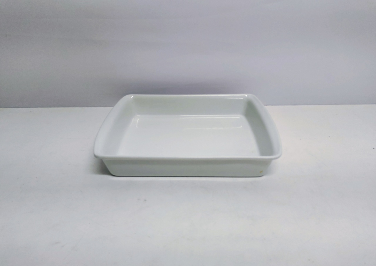 Refratário Pp Retangular Fundo 5Cm Alt X 25Cm Larg X 34Cm Comp - BB Festas Aluguel 