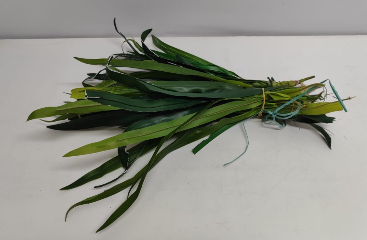 Folhagem Longa Verde - BBFestasAluguel 