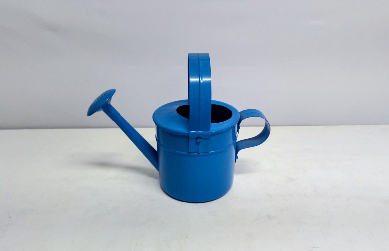 Regador Decorativo Metal Azul 22Cm Alt X 15Cm Larg X 30Cm Comp  - BB Festas Aluguel 