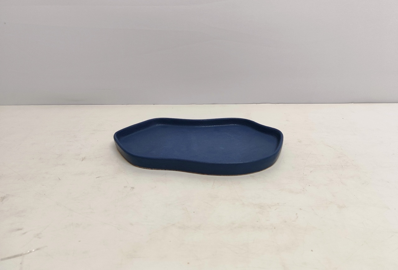 Bandeja Celebration Orgânico/P Azul Marinho 2Cm Alt X 17Cm Larg X 29Cm Comp  - BB Festas Aluguel 