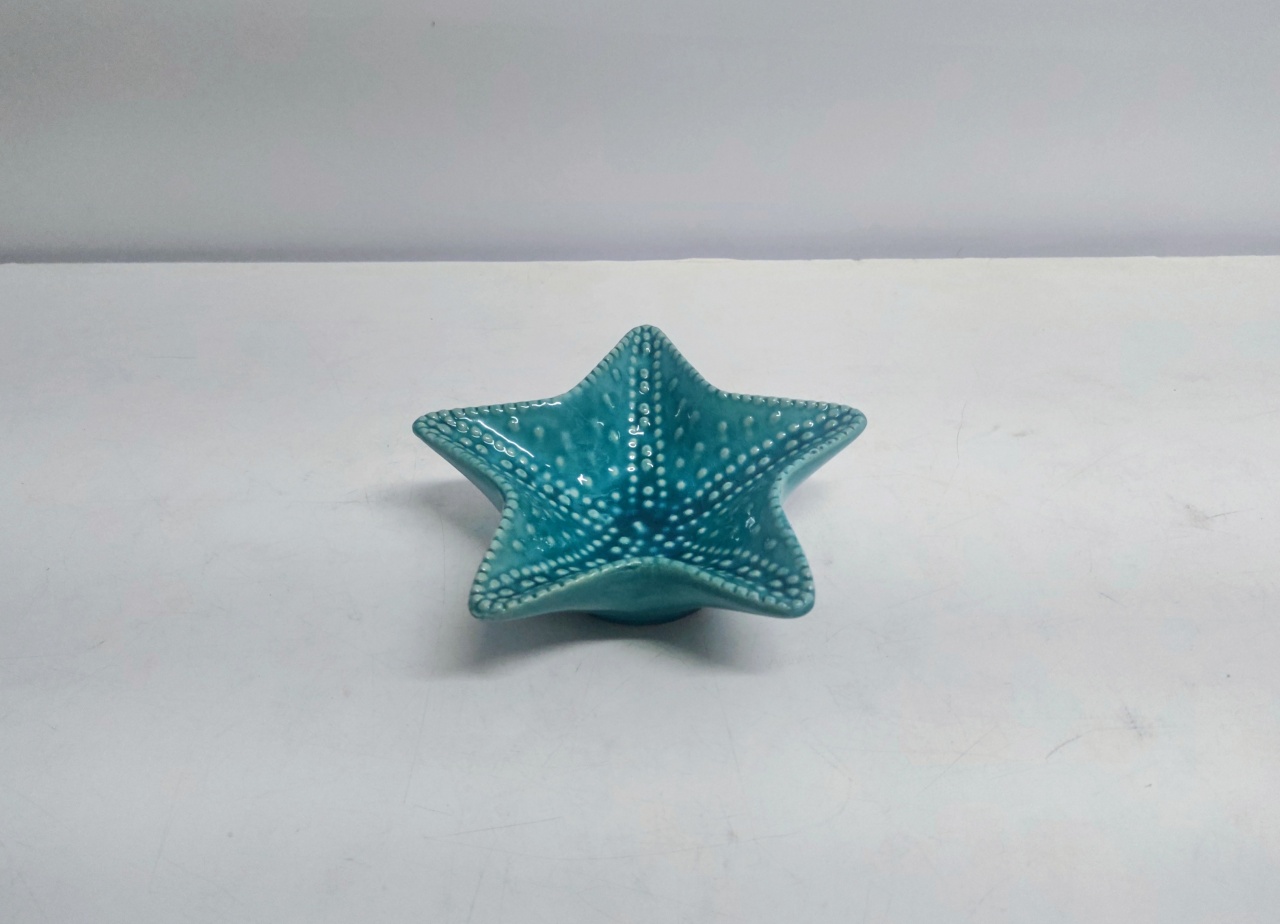Bandeja Estrela Do Mar/M Verde Tiffany 5Cm Alt X 16Cm Diametro  - BB Festas Aluguel 