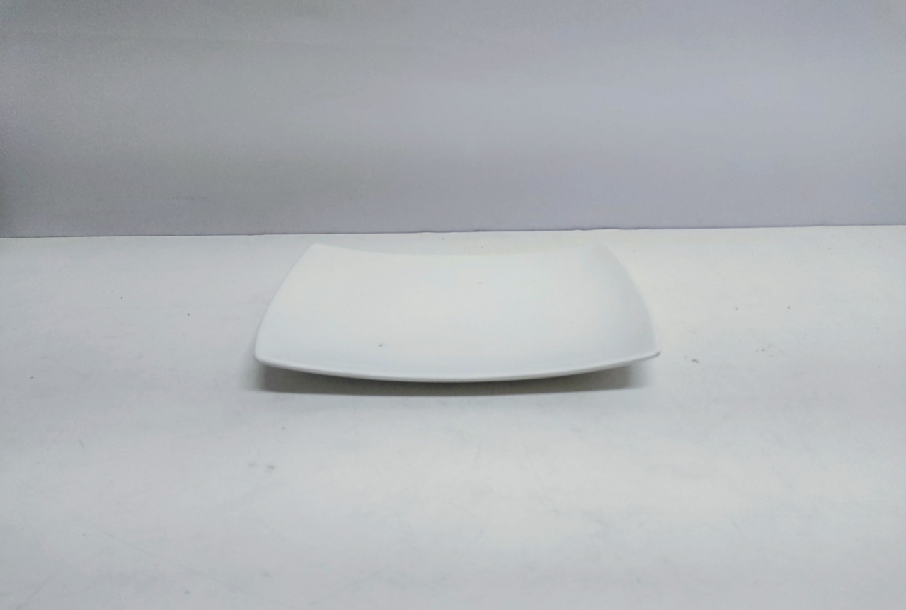Porta Salgado Retangular 3Cm X 19Cm Larg X 26Cm Comp - BB Festas Aluguel 