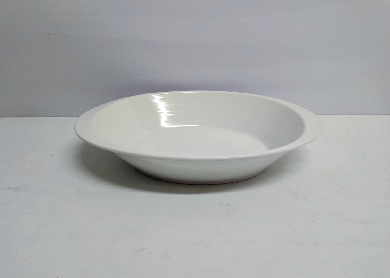 Refratário Oval Fundo 7Cm Alt X 30Cm Larg X 41Cm Comp - BB Festas Aluguel 
