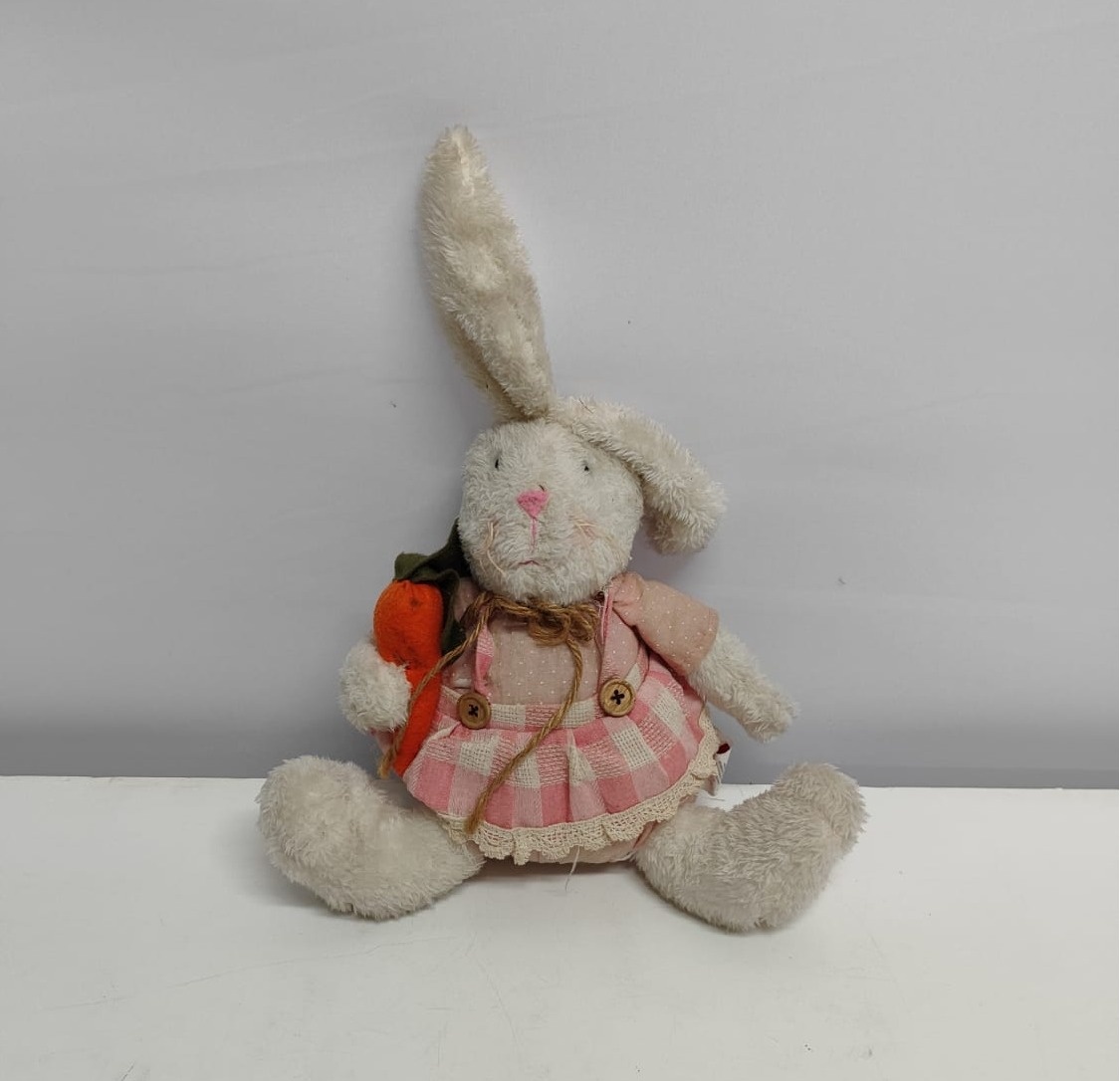 Coelho de Pelúcia Roupa Rosa Com Cenoura - BB Festas Aluguel 