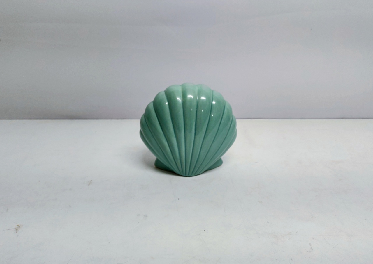 Concha Decorativa Verde Eucalipto 14Cm Alt X 16Cm Larg X 9Cm Comp  - BB Festas Aluguel 