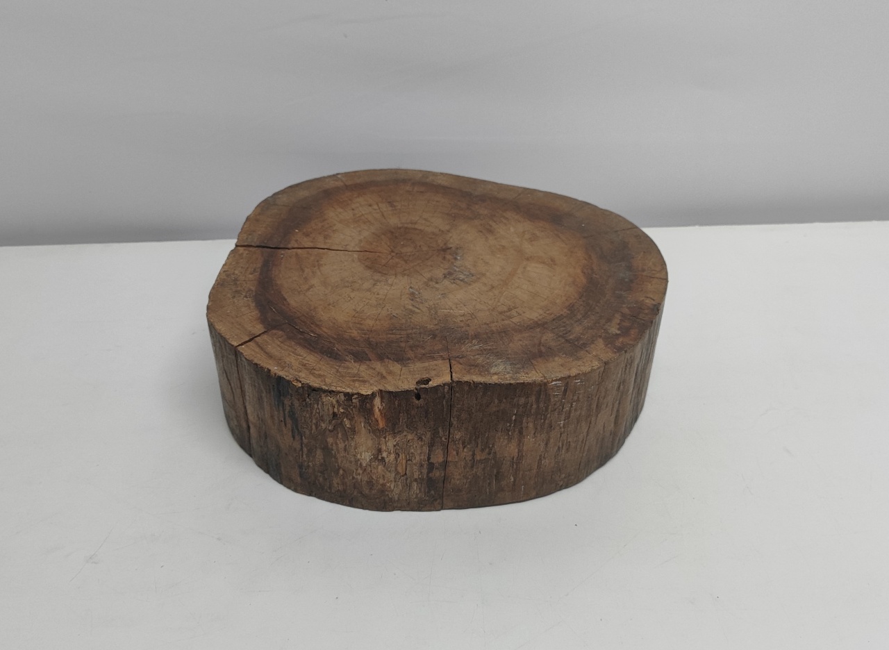 Boleira Tronco de Mesa Gg - BB Festas Aluguel 