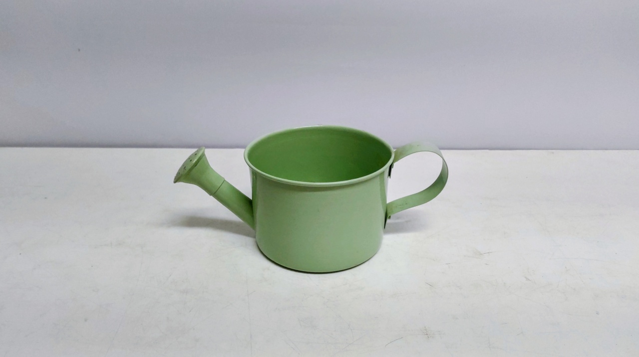 Regador Decorativo Metal Verde Claro 9Cm Alt X 13Cm Larg X 24Cm Comp  - BB Festas Aluguel 