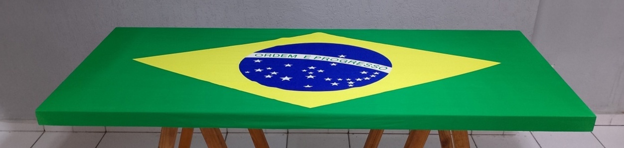 Tampo da Badeira Do Brasil - BBFestasAluguel 