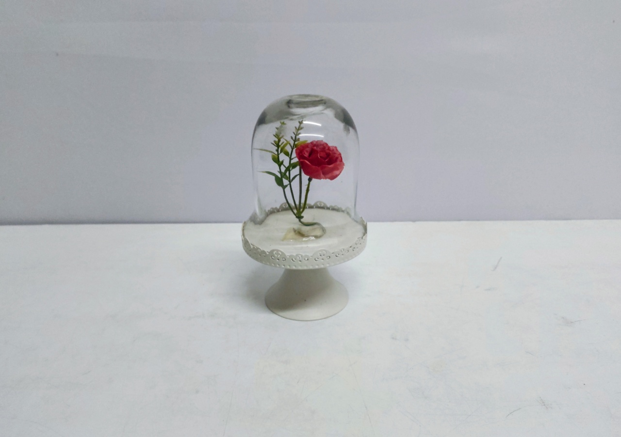 Rosa Encantada Eterna (Bela E A Fera) 20Cm Alt X 12Cm Diametro  - BB Festas Aluguel 