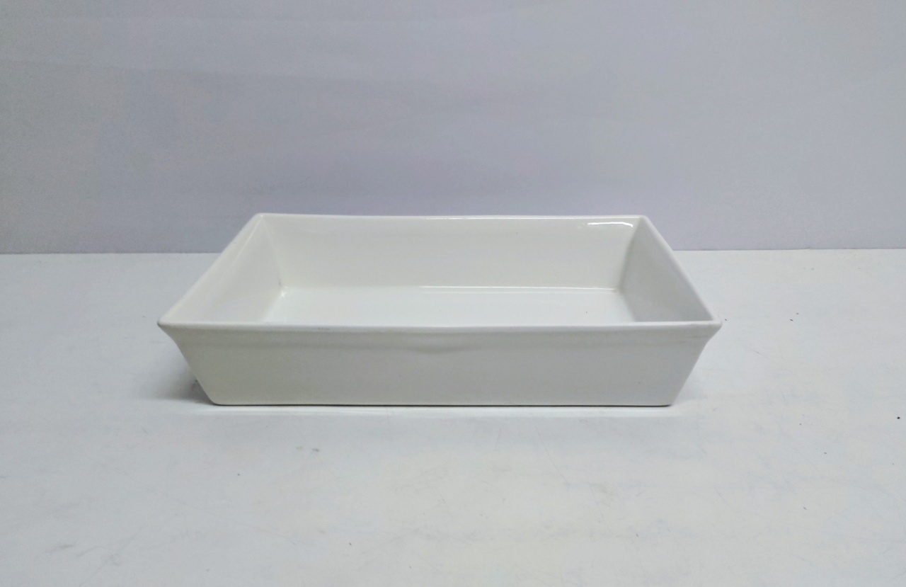 Refratário Rentagular Fundo 7Cm Alt X 22Cm Larg X 34Cm Comp  - BB Festas Aluguel 