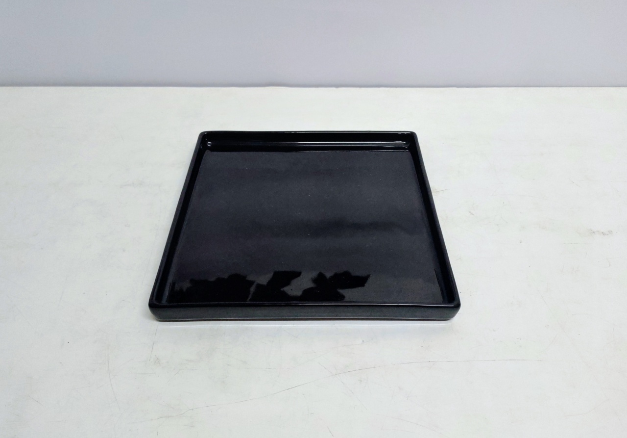 Bandeja Quadrada Reta Sem Pé 2Cm Alt X 26Cm Diametro  - BB Festas Aluguel 