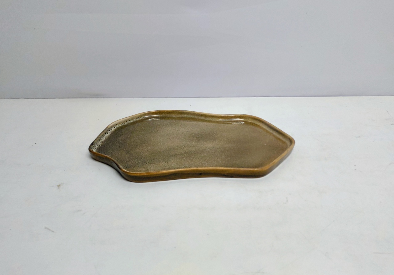 Bandeja Celebration Orgânica/G  Café 2Cm Alt X 24Cm Larg X 39Cm Comp  - BB Festas Aluguel 