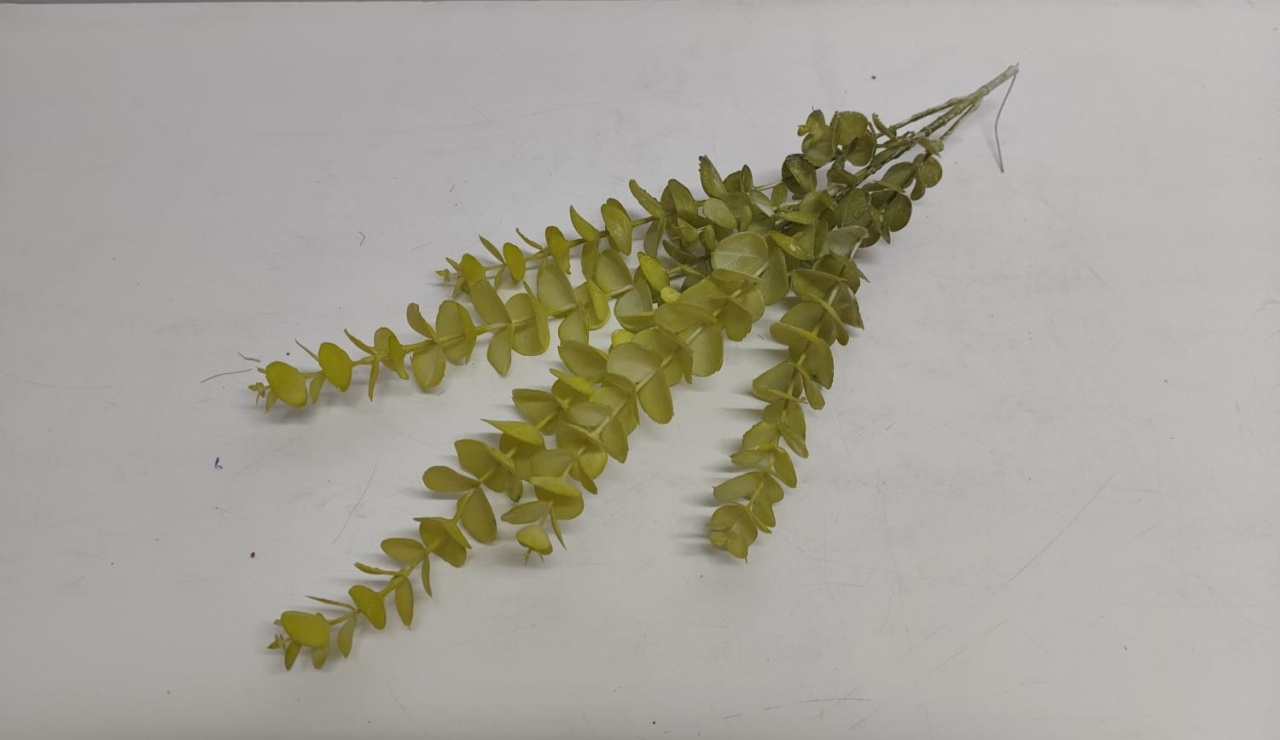 Arranjo Eucalipto Verde - BBFestasAluguel 