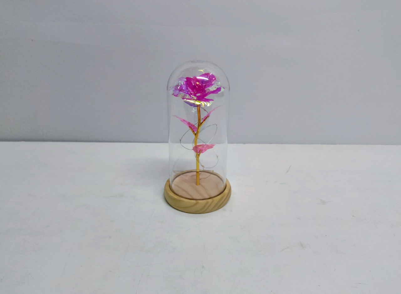 Rosa Encantada Eterna Na Cúpula de Vidro (Bela E A Fera) 22Cm Alt X 11Cm Diametro  - BB Festas Aluguel 